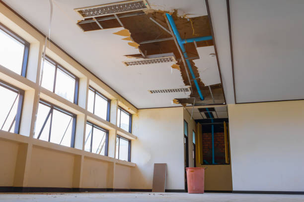 Best Basement water damage restoration  in Lagrange, GA