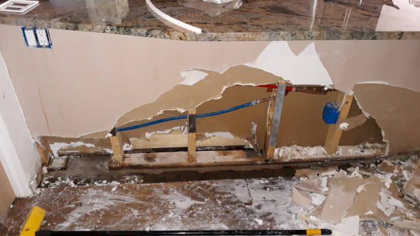 Best Flooded house restoration  in Lagrange, GA