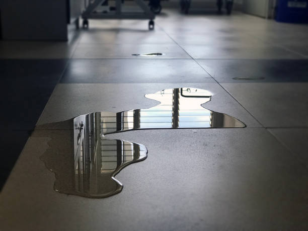 Best Commercial water damage restoration  in Lagrange, GA