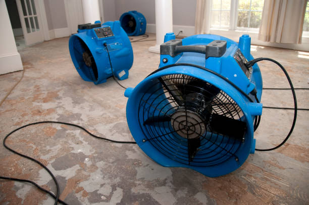 Best Ceiling water damage repair  in Lagrange, GA