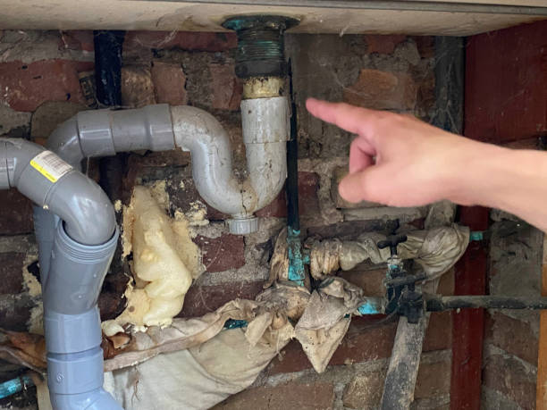 Best Flood restoration services  in Lagrange, GA