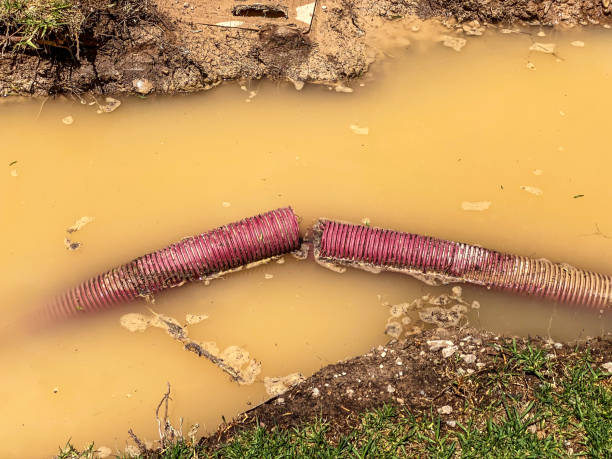 Best Sewage cleanup and water damage restoration  in Lagrange, GA
