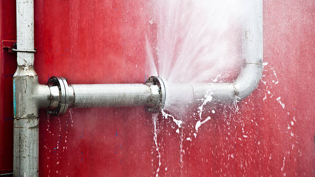 Best Mold removal after water damage  in Lagrange, GA